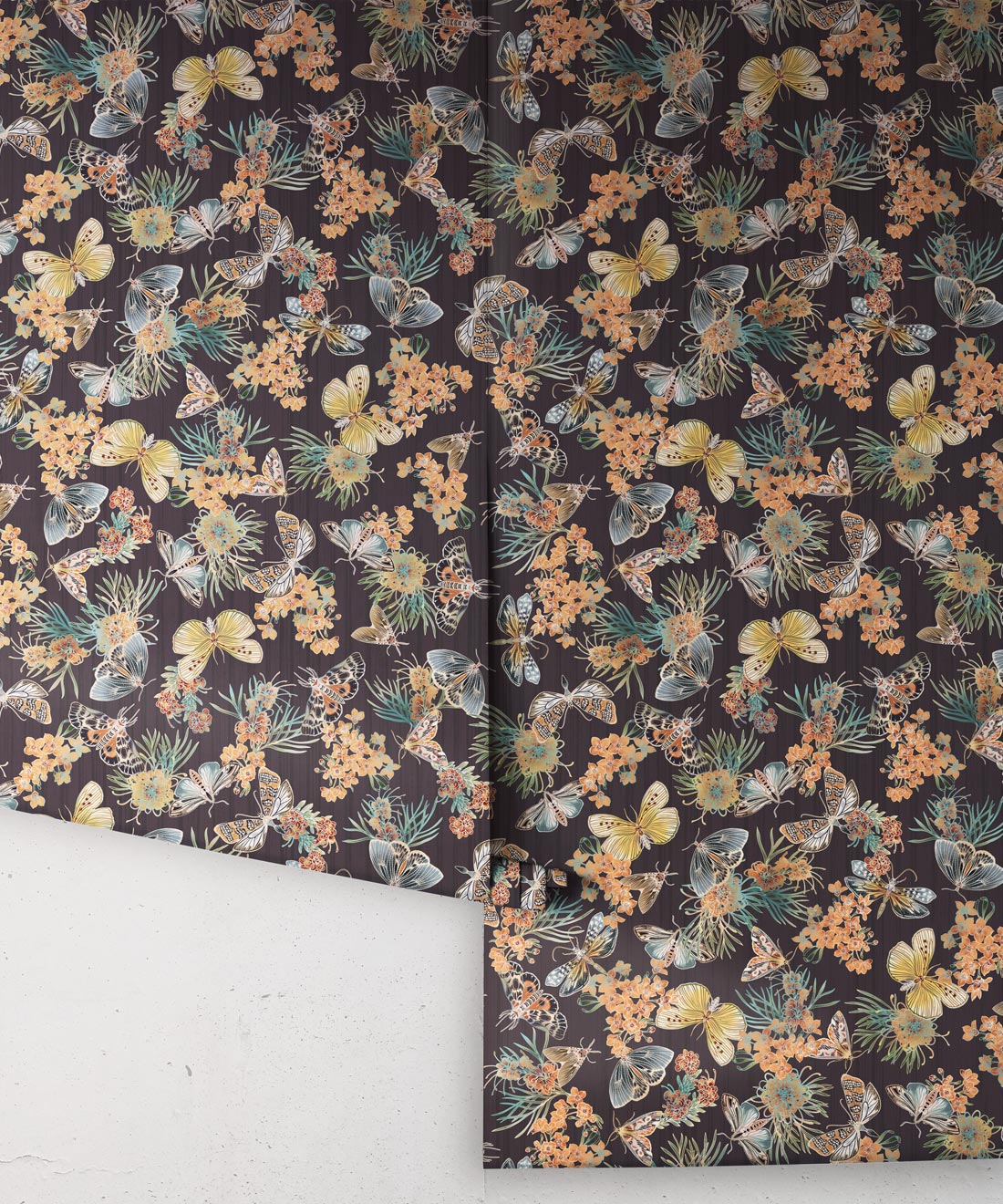 Moth Wallpaper, Night