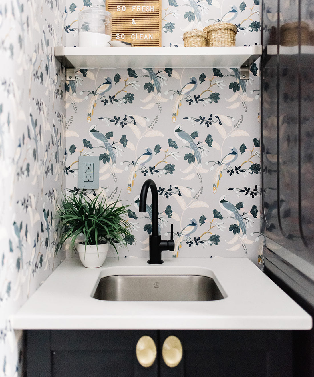 Birds Of Paradise Wallpaper, Grey