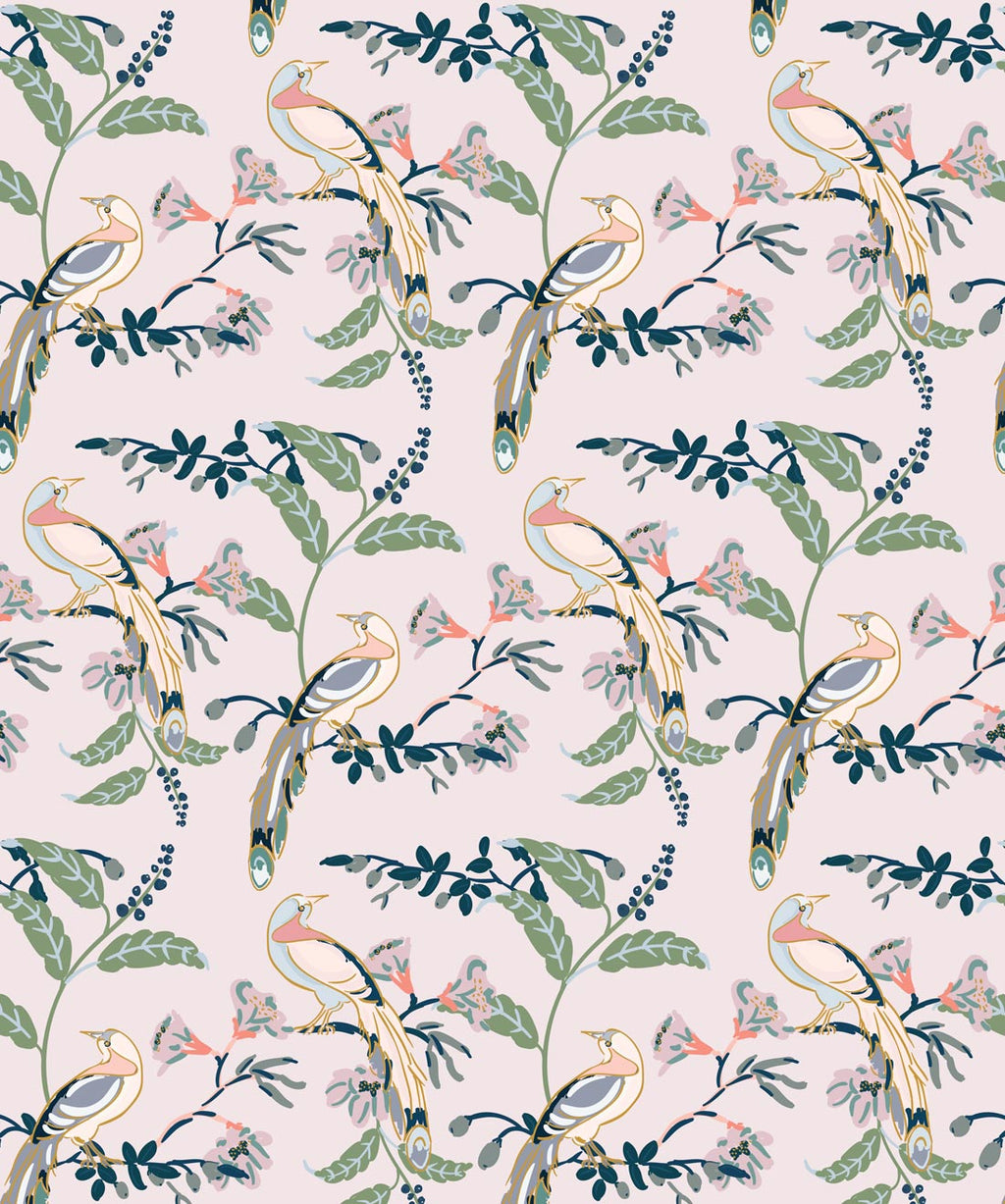 Birds Of Paradise Wallpaper, Pink Lady