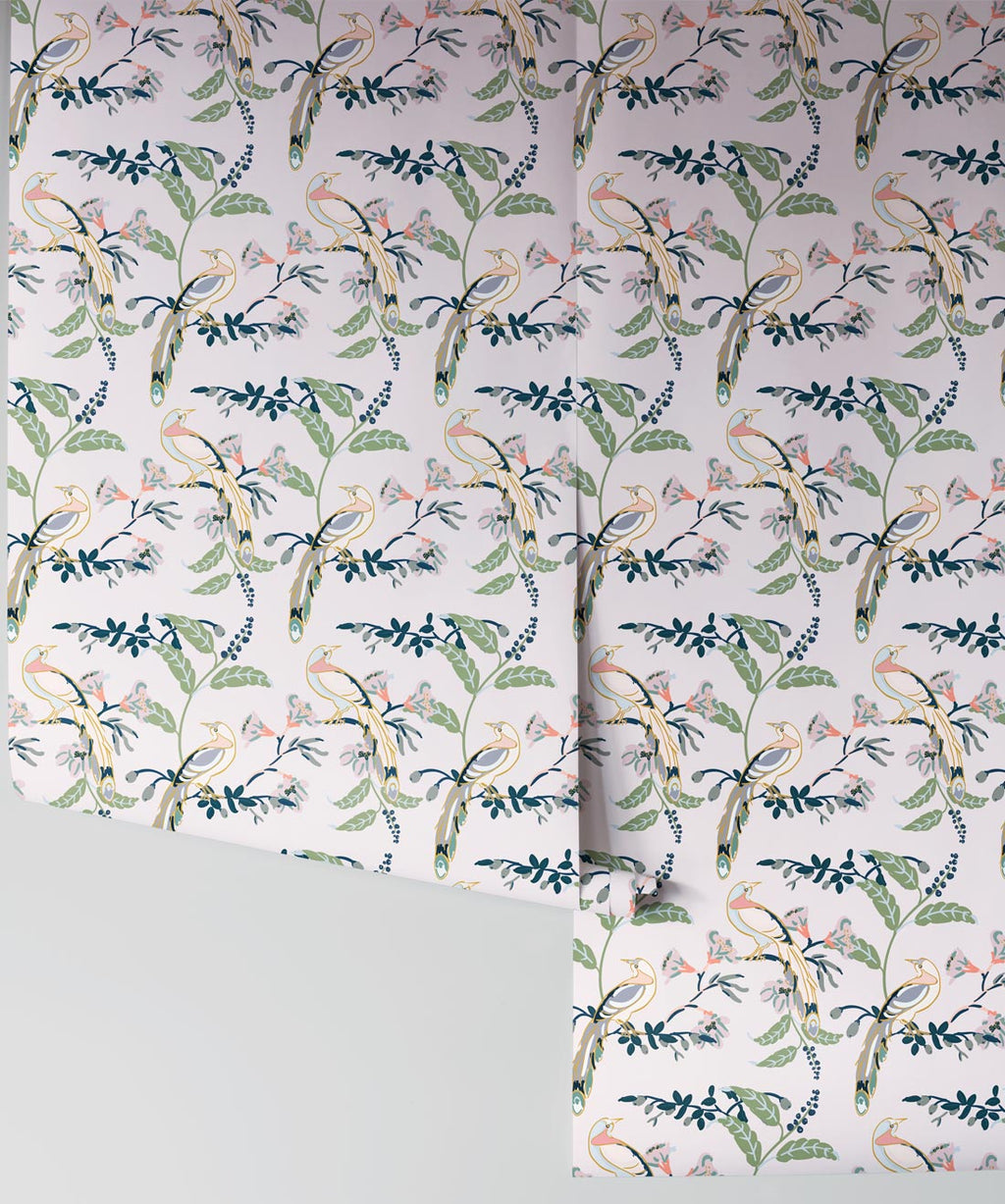 Birds Of Paradise Wallpaper, Pink Lady