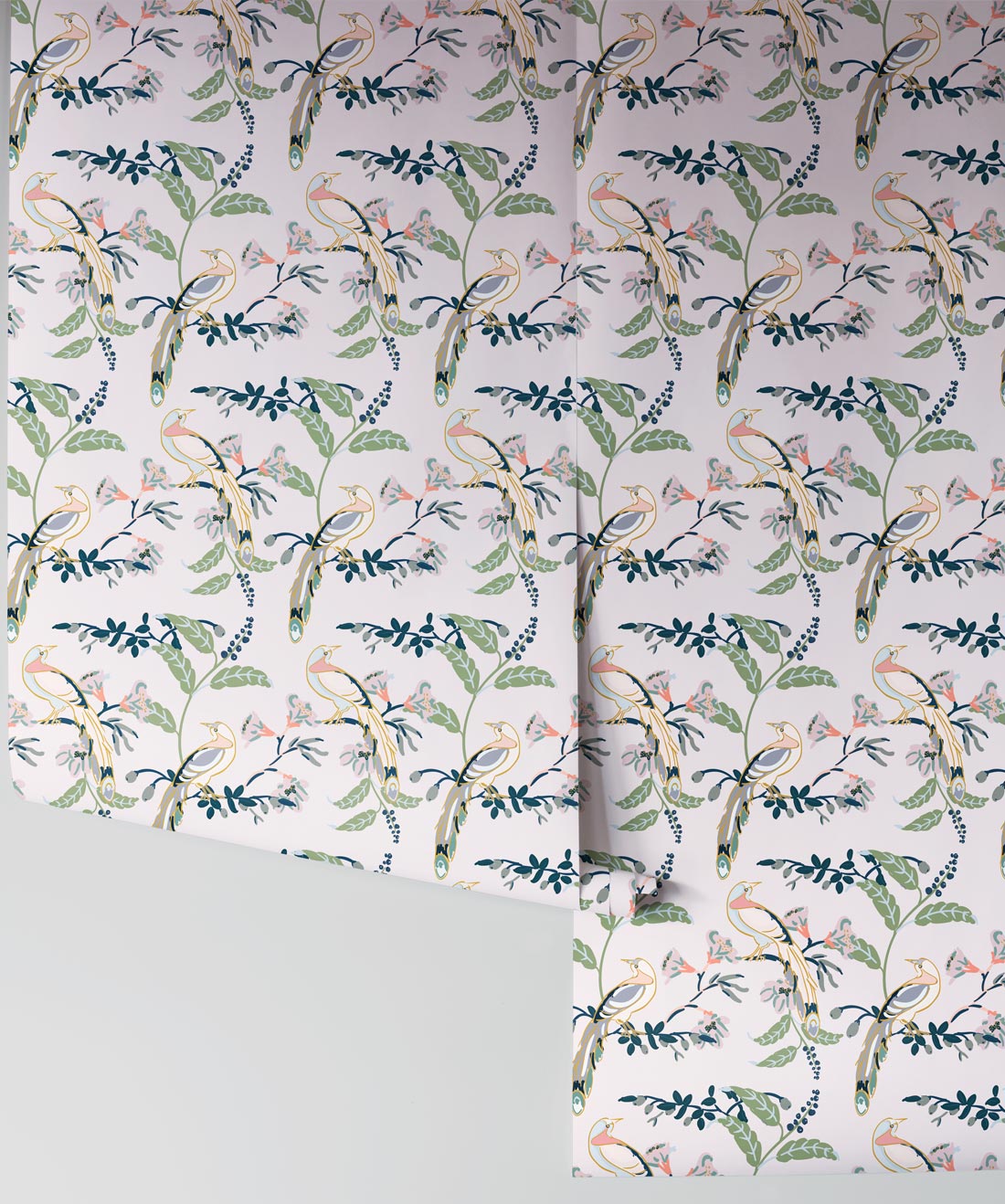 Birds Of Paradise Wallpaper, Pink Lady