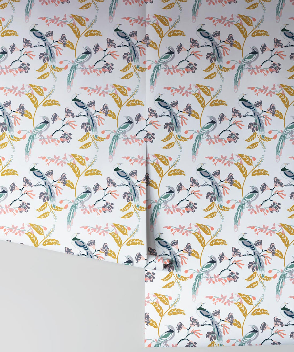 Birds Of Paradise Wallpaper, Tropical