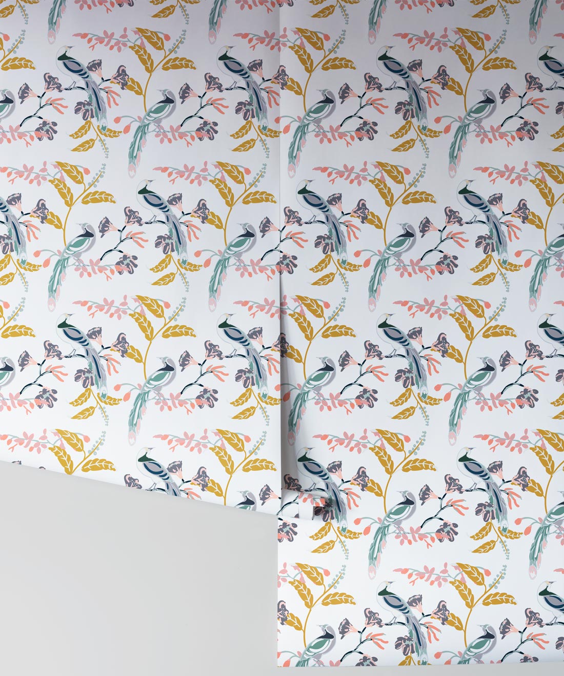 Birds Of Paradise Wallpaper, Tropical