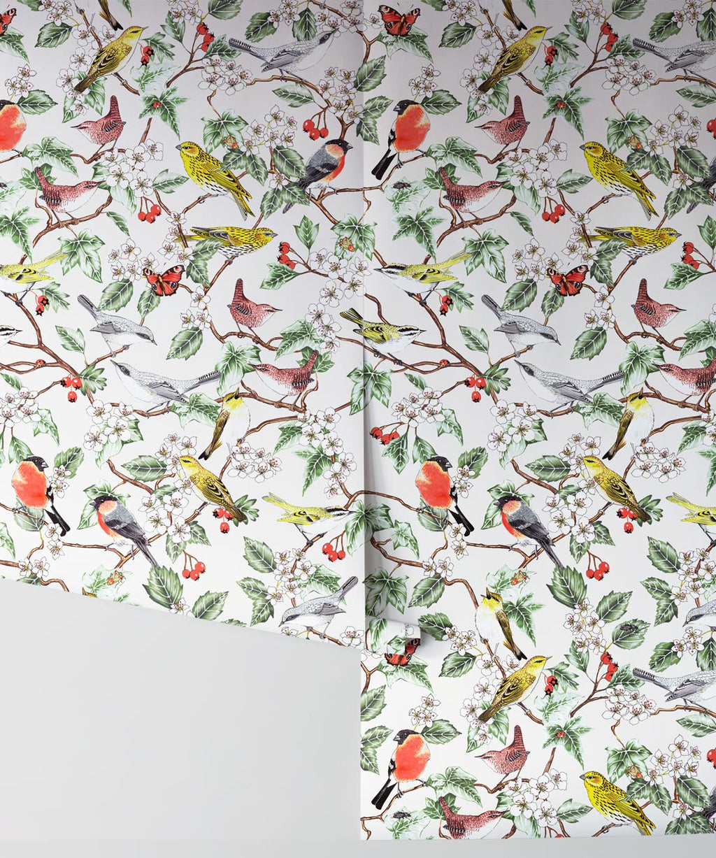 Hawthorn Wallpaper