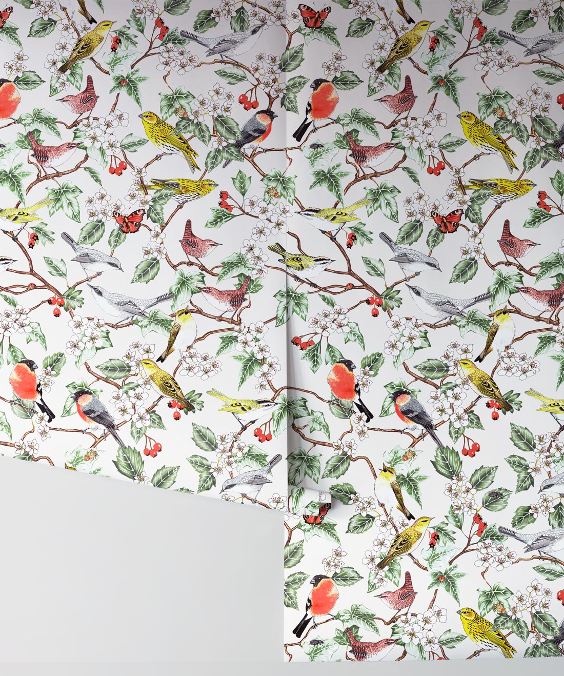 Hawthorn Wallpaper