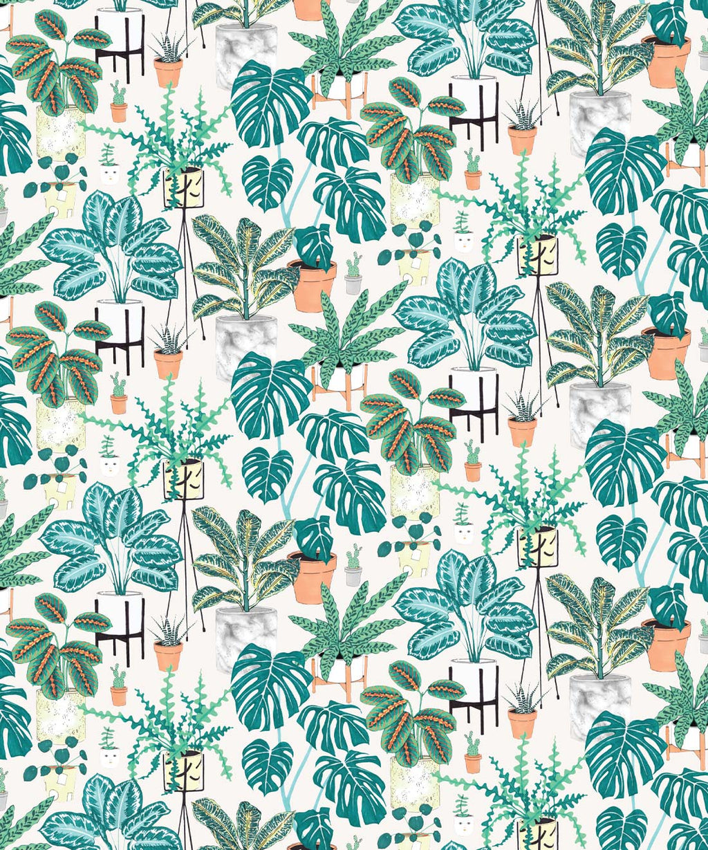 House Plants Wallpaper, Aqua