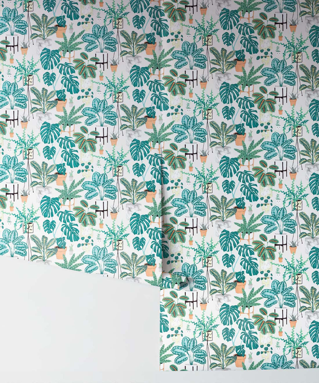 House Plants Wallpaper, Aqua