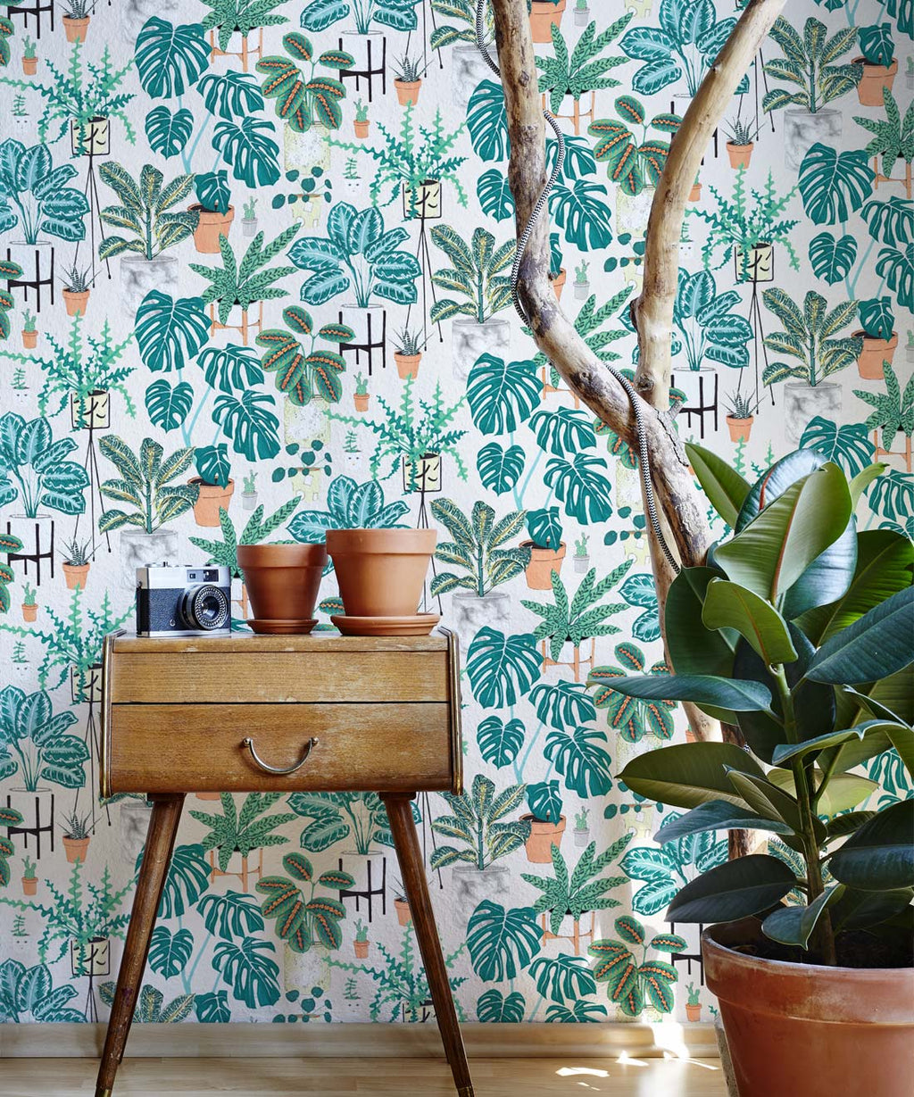 House Plants Wallpaper, Aqua