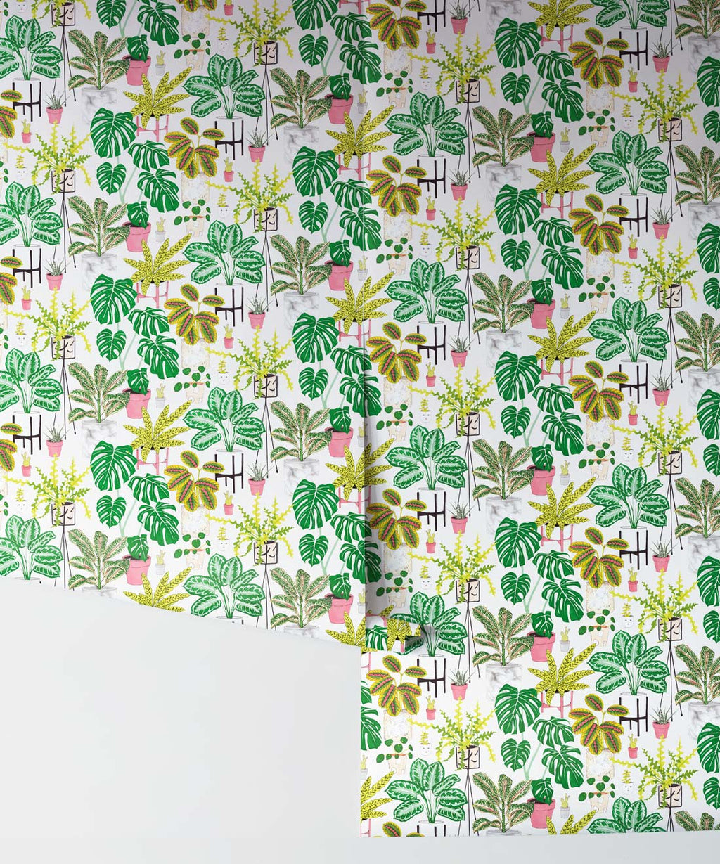 House Plants Wallpaper, Green