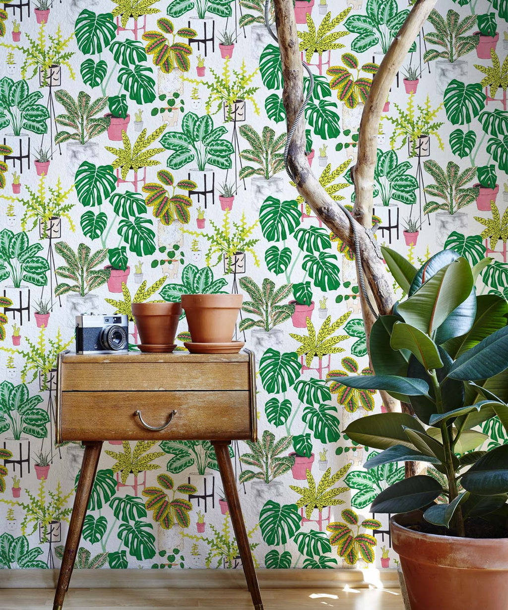 House Plants Wallpaper, Green