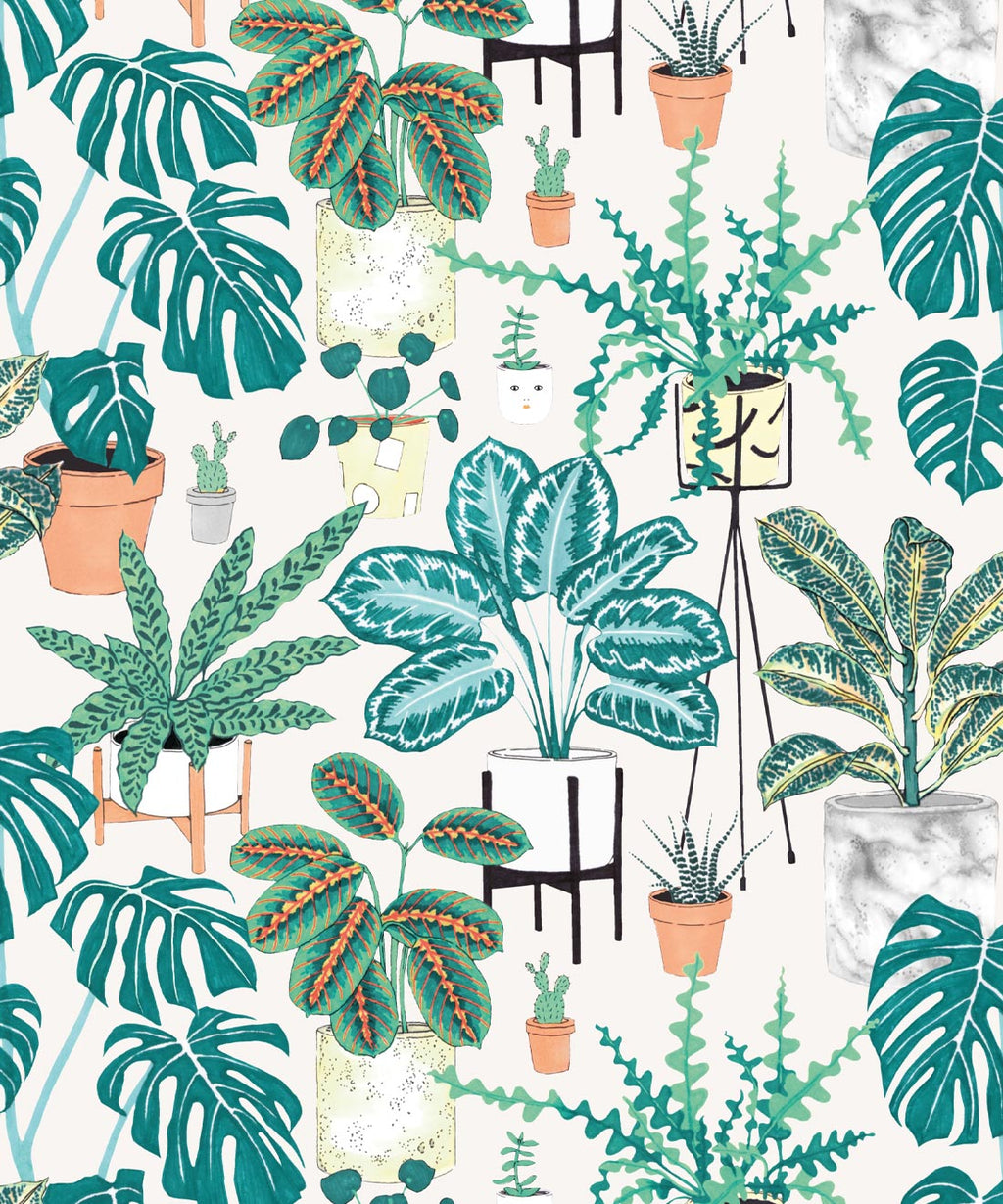 (Large) House Plants Wallpaper, Aqua