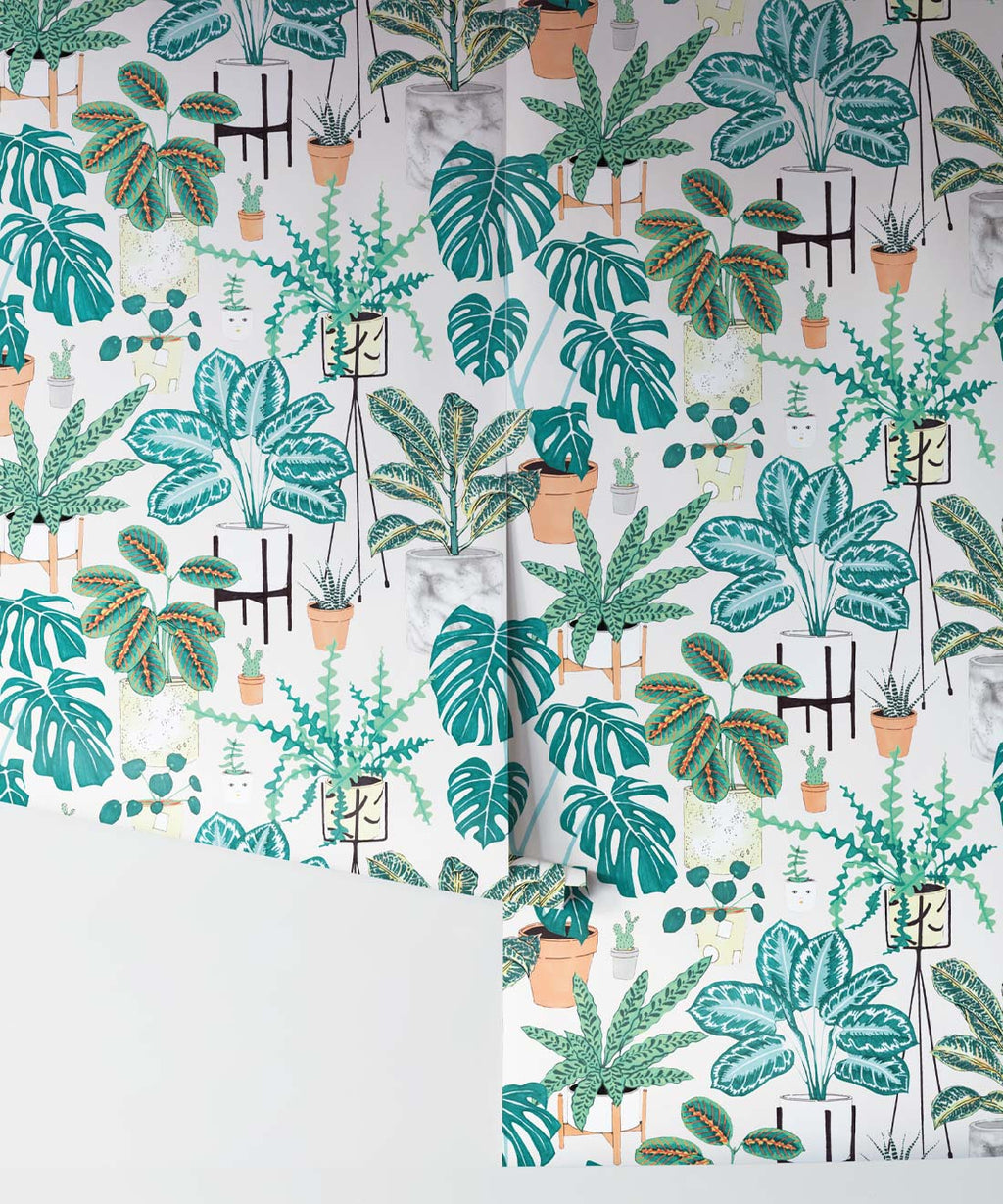 (Large) House Plants Wallpaper, Aqua