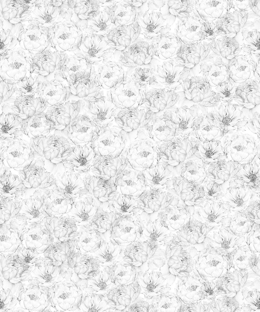 Peonies & Anemones Wallpaper