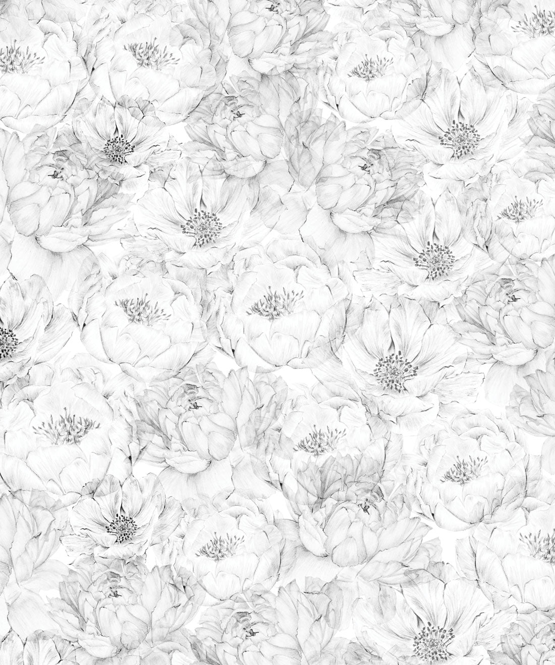 Large Peonies & Anemones Wallpaper