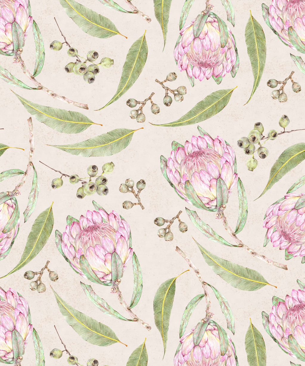 Proteas Gumnuts Wallpaper