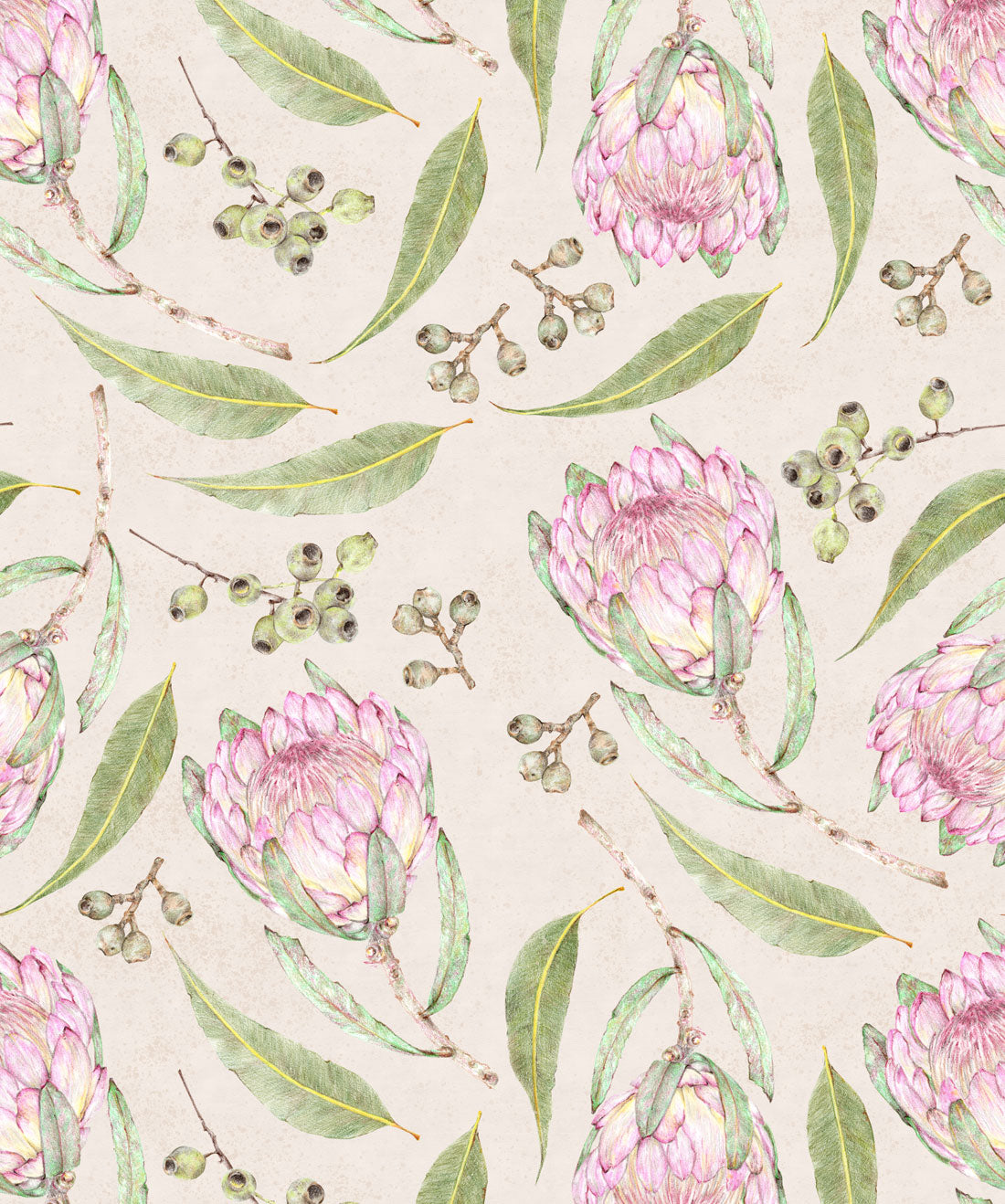 Proteas Gumnuts Wallpaper