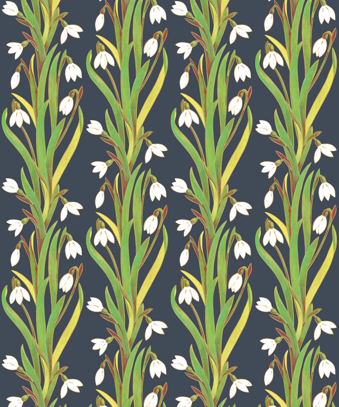 Snow Drop Wallpaper, Pacific Spirit