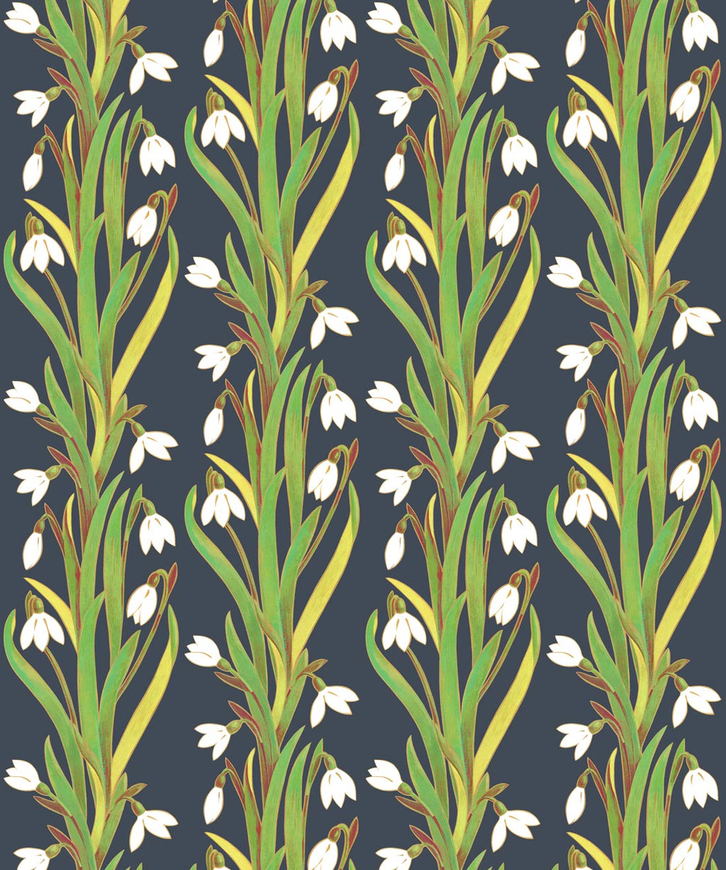 Snow Drop Wallpaper, Pacific Spirit