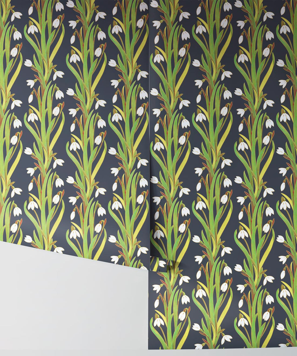 Snow Drop Wallpaper, Pacific Spirit