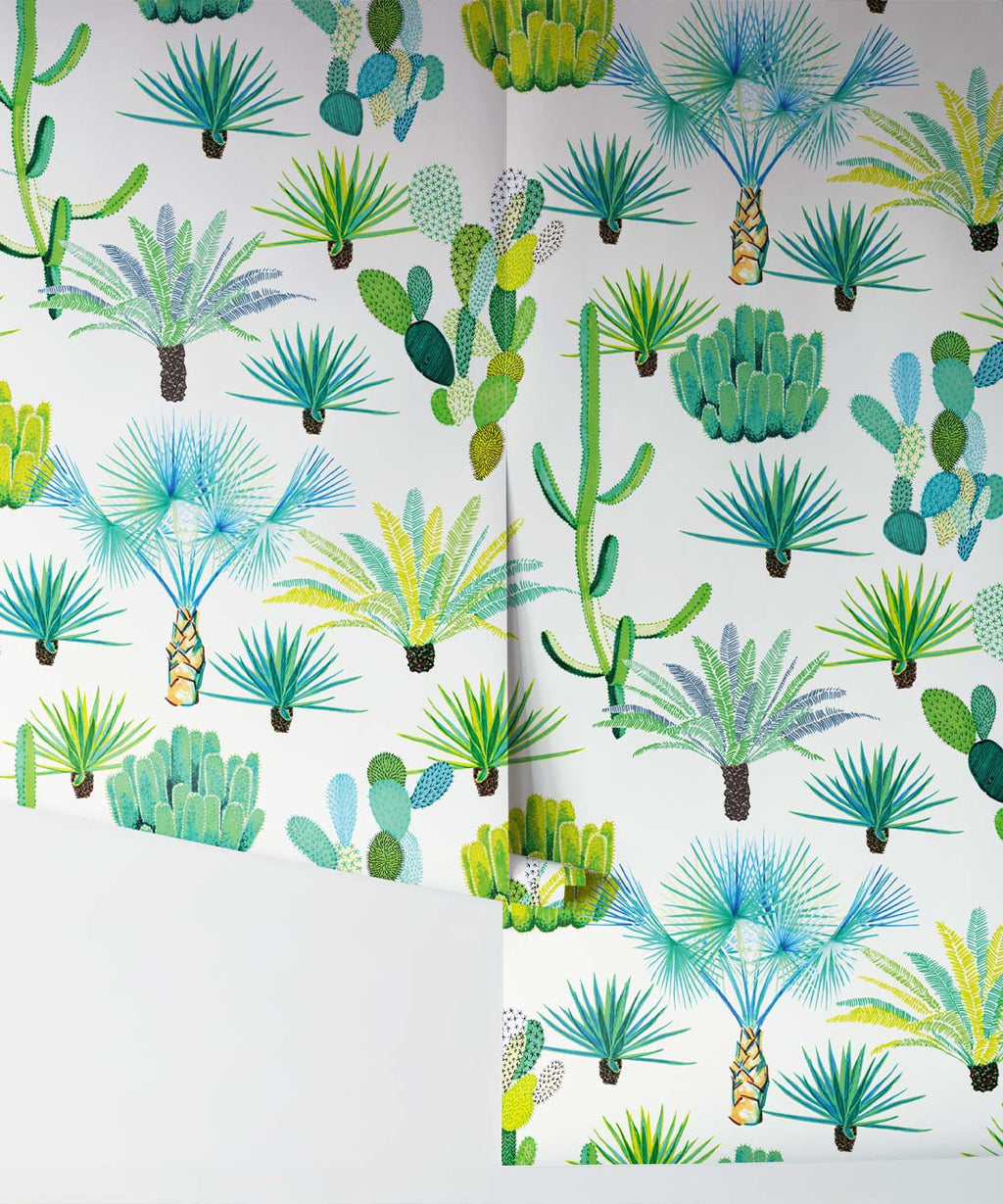 Cacti Wallpaper