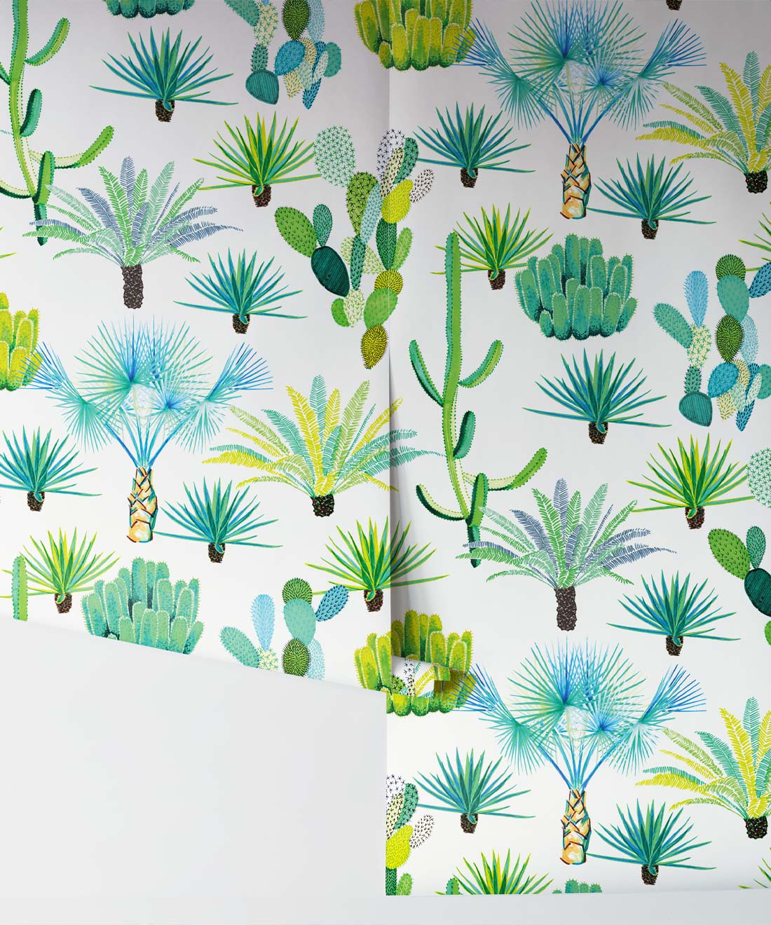 Cacti Wallpaper