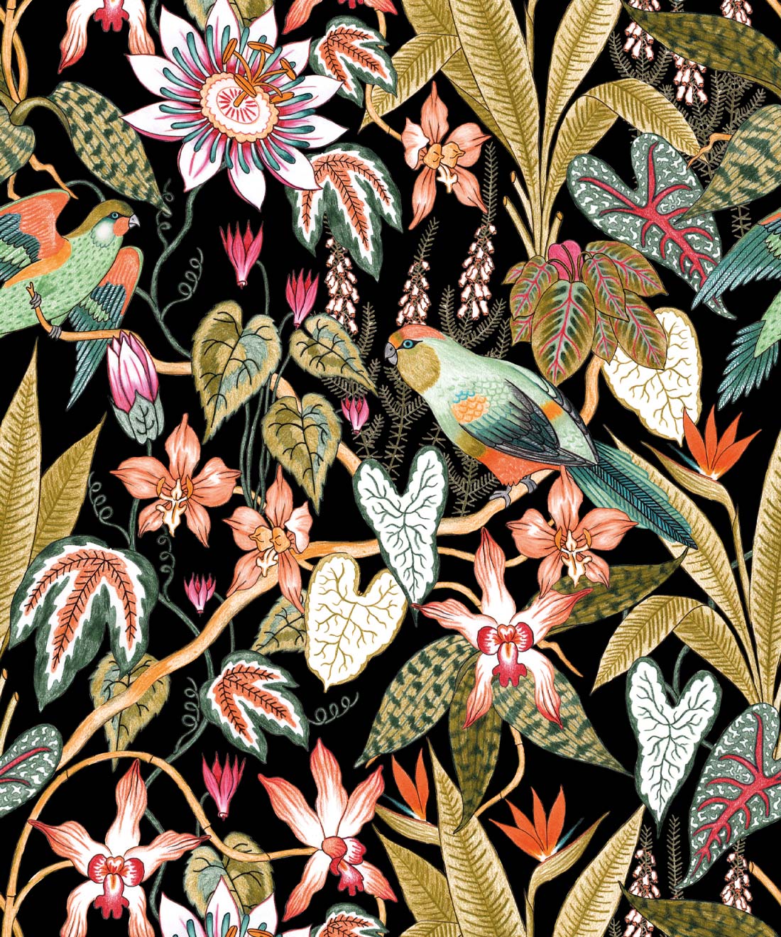 Parrot Jungle Wallpaper, Black