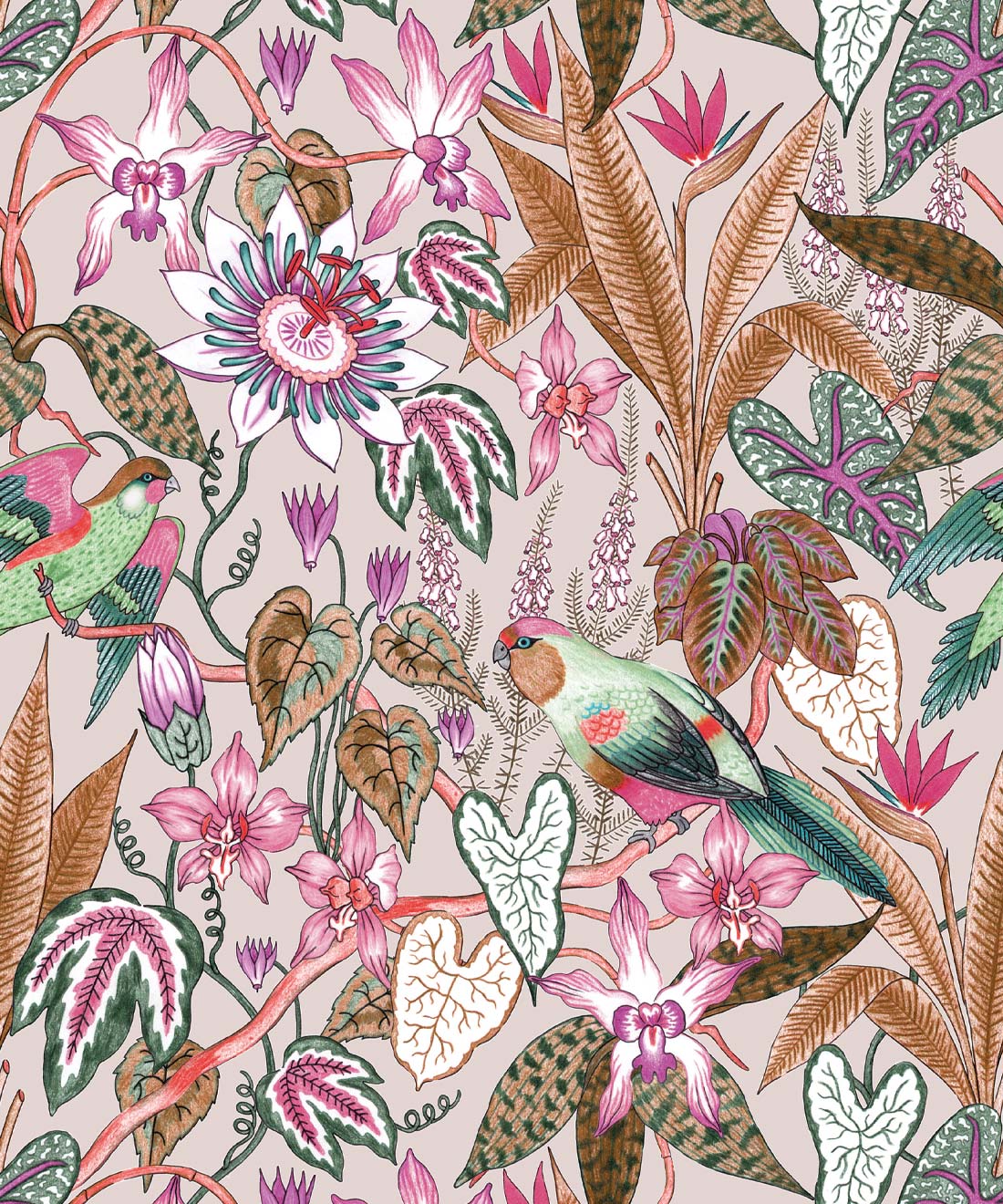 Parrot Jungle Wallpaper, Oatmeal