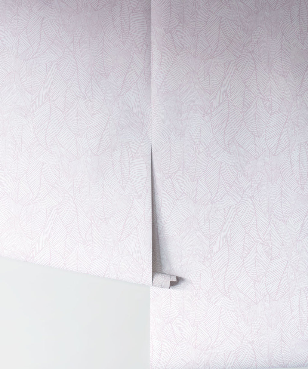 Bonfire Wallpaper, Ametrine