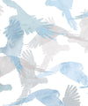 Lorikeets Wallpaper, Buccaneer