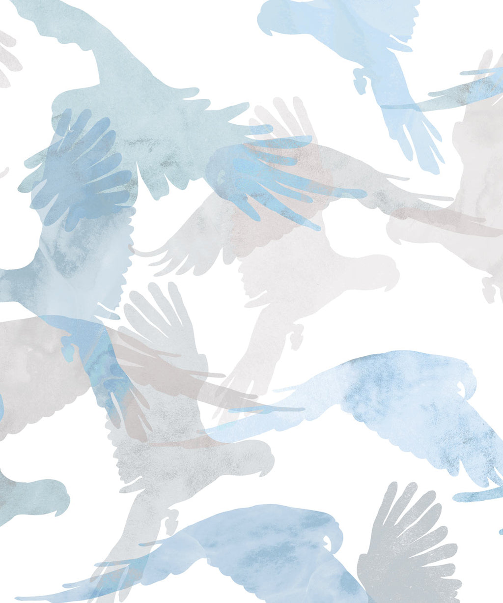 Lorikeets Wallpaper, Buccaneer