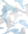 Lorikeets Wallpaper, Buccaneer