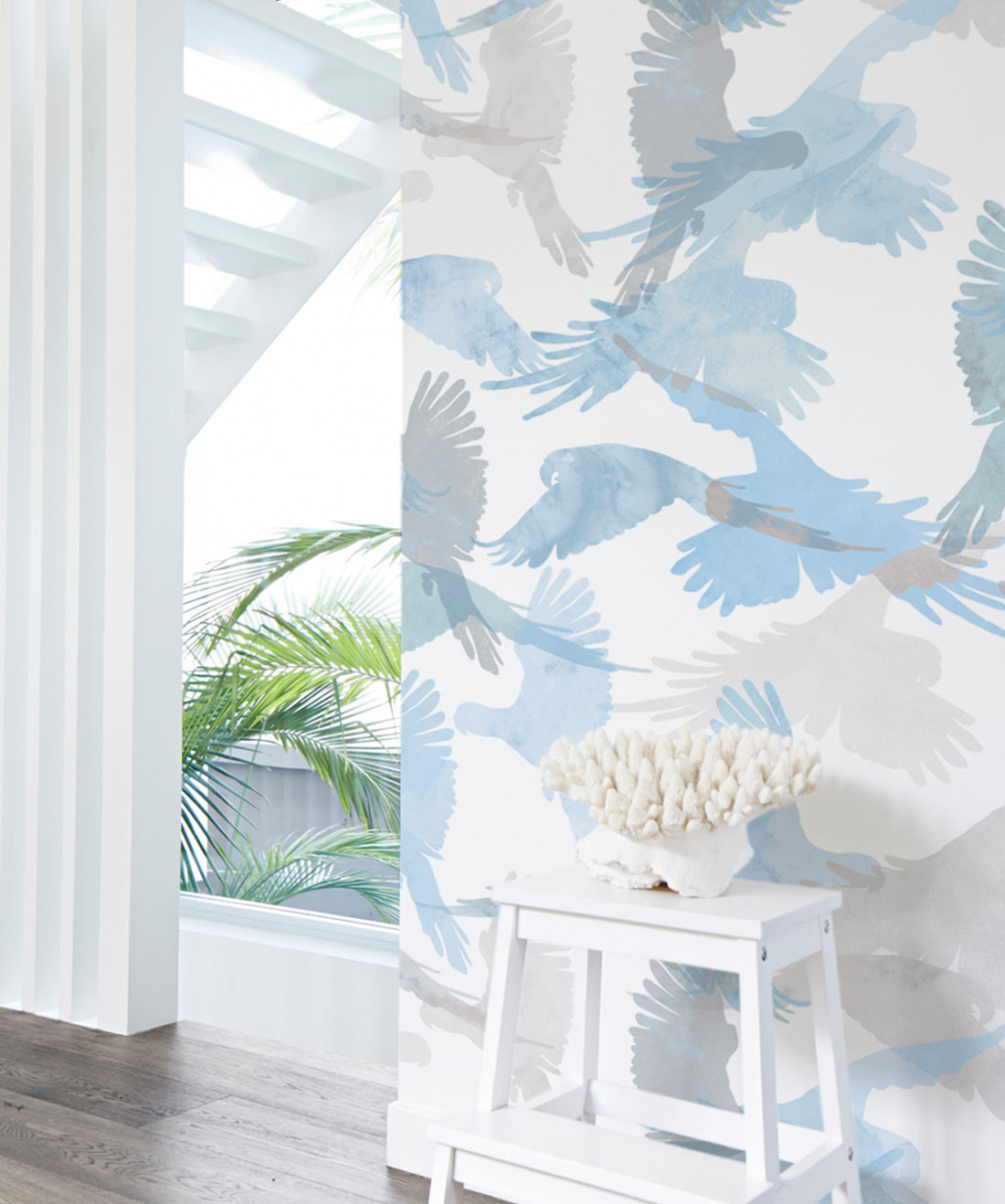 Lorikeets Wallpaper, Buccaneer