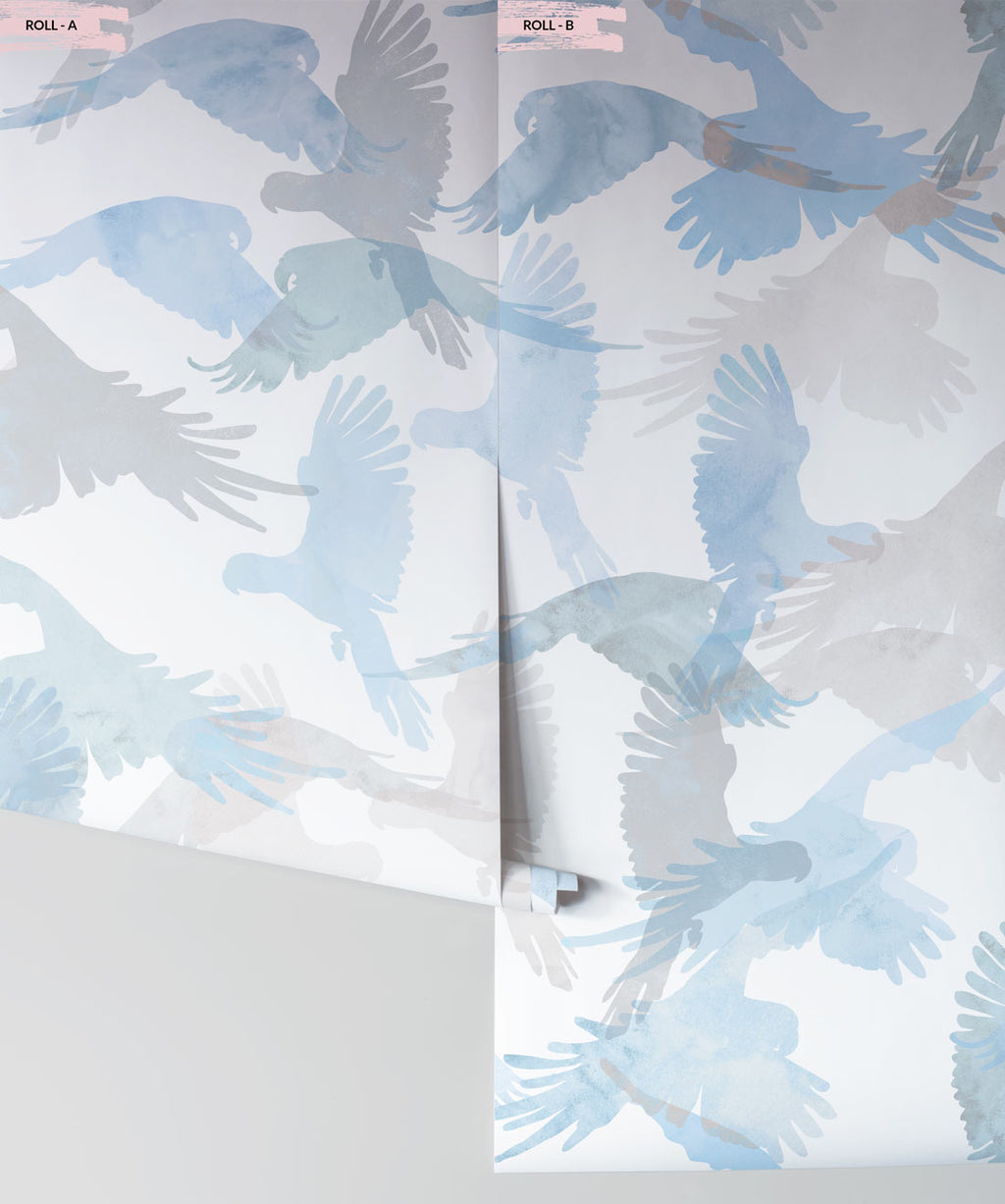 Lorikeets Wallpaper, Buccaneer