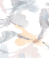 Lorikeets Wallpaper, Saltwater
