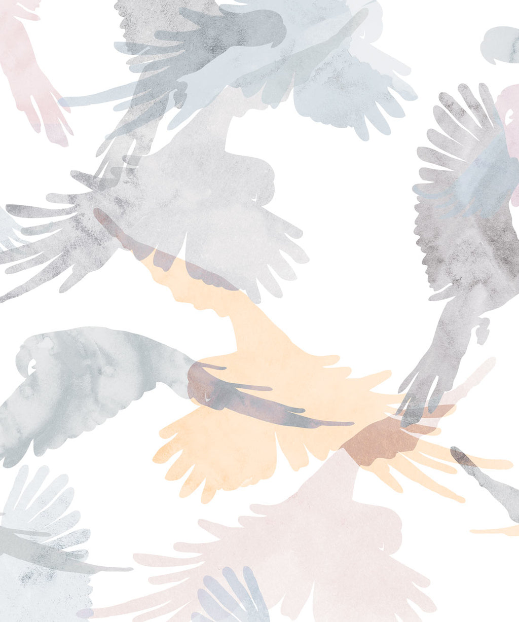 Lorikeets Wallpaper, Saltwater