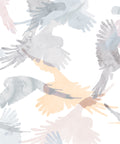 Lorikeets Wallpaper, Saltwater