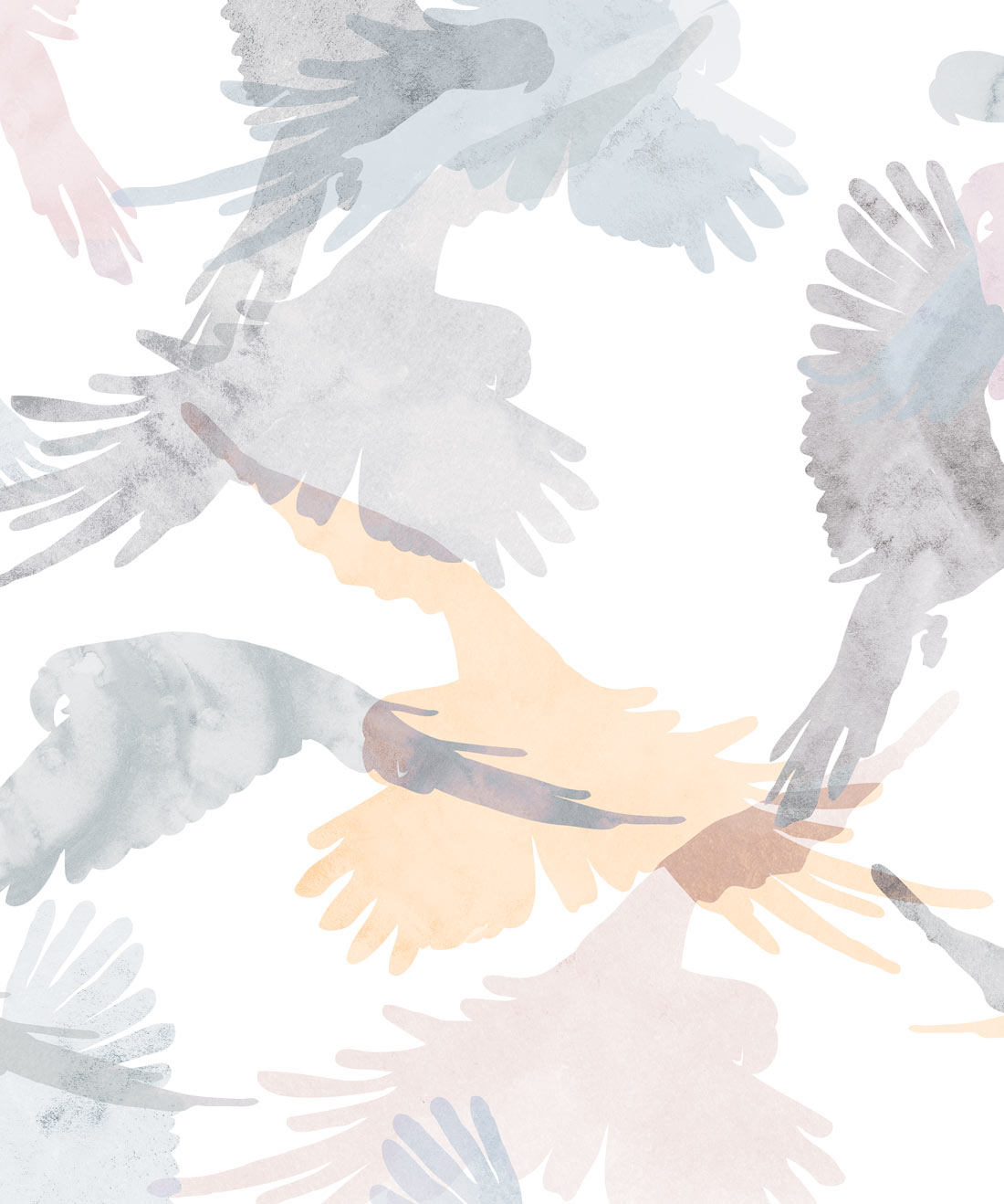 Lorikeets Wallpaper, Saltwater