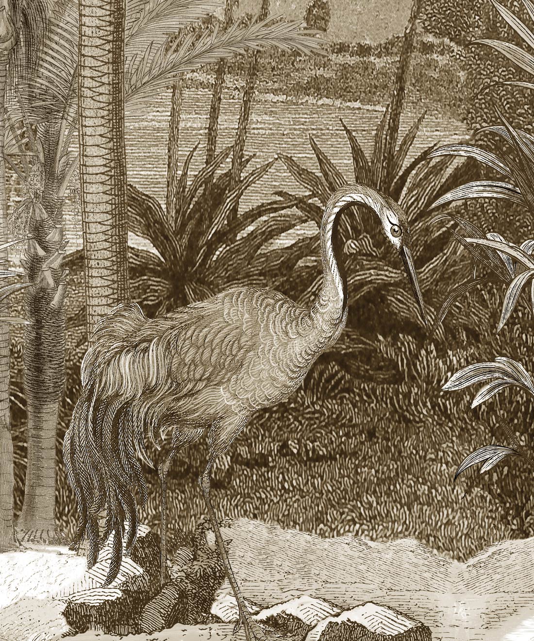South Asian Subcontinent Mural, Sepia
