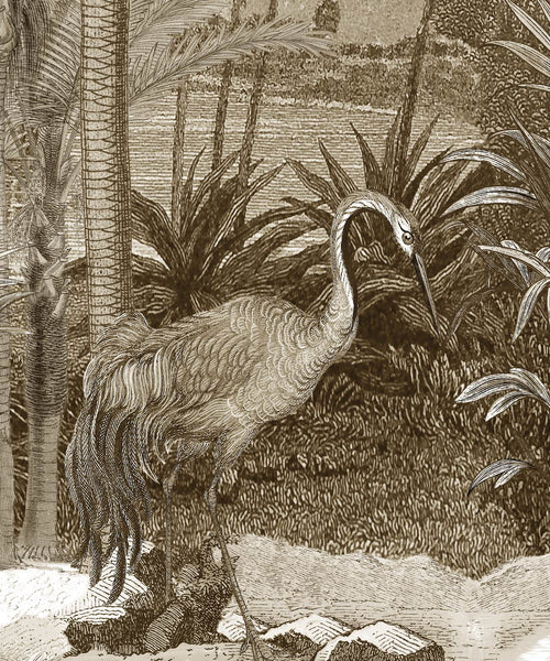 South Asian Subcontinent Mural, Sepia