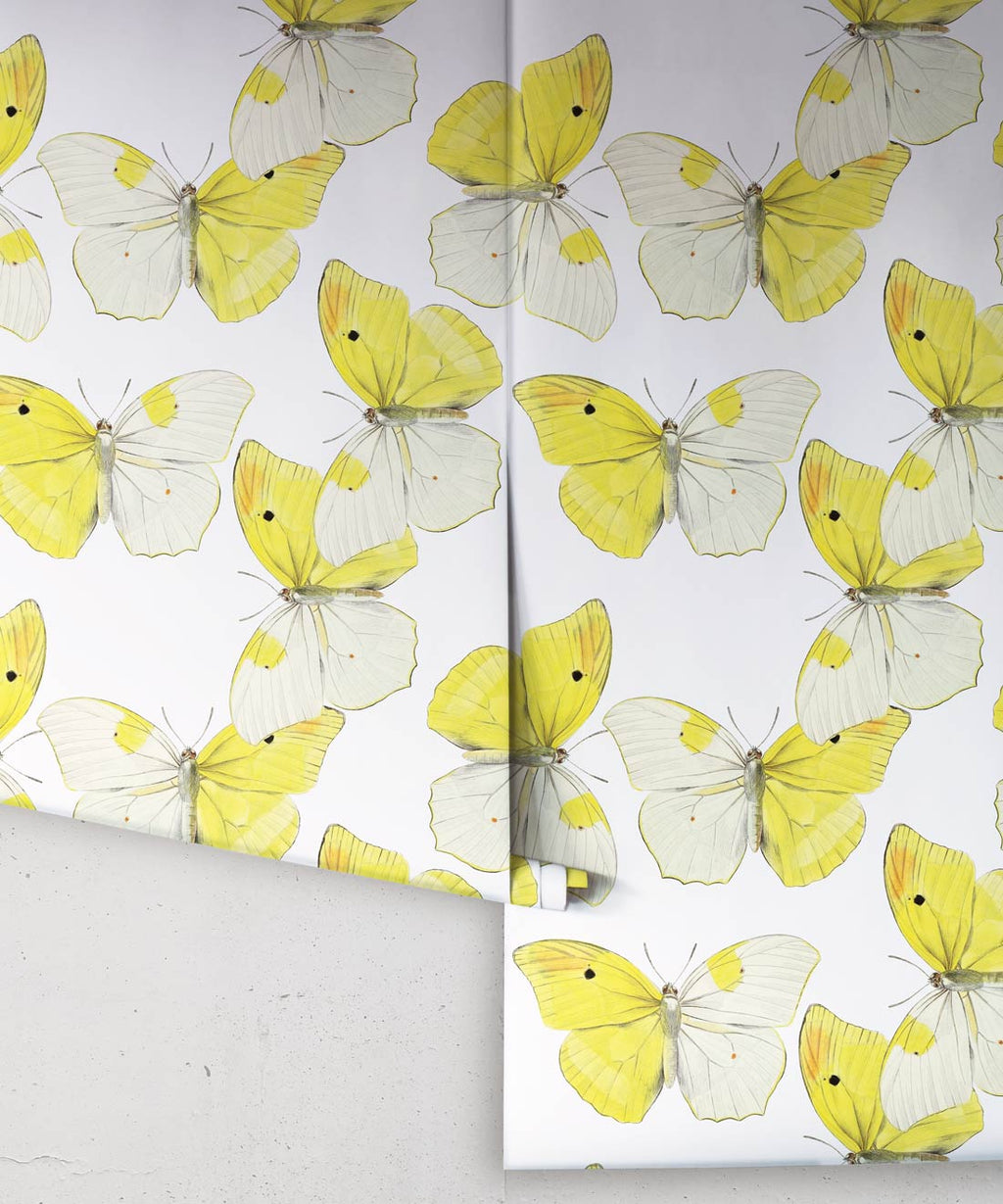 Blended Butterfly Wallpaper
