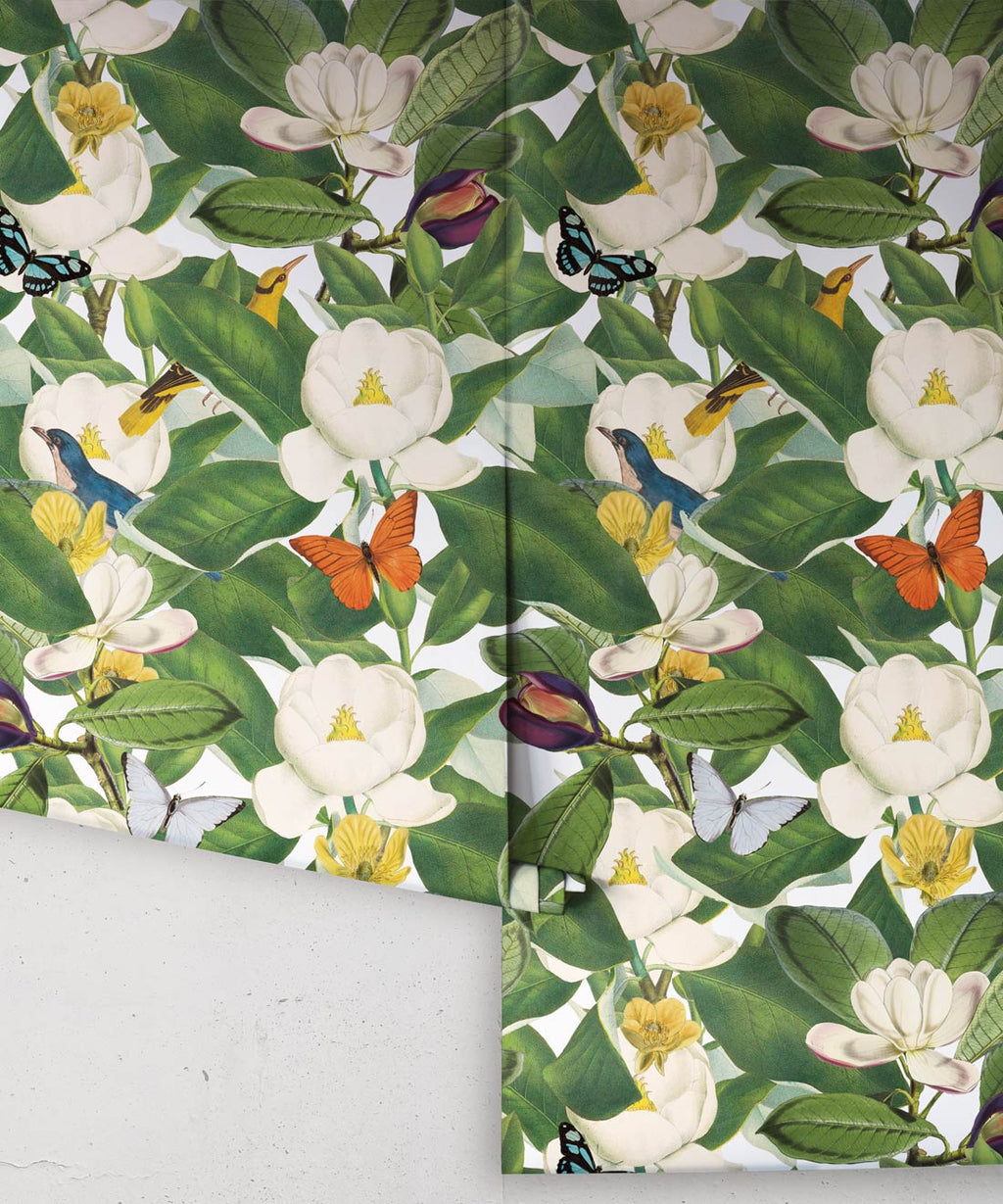 Magnolia Bloom Wallpaper