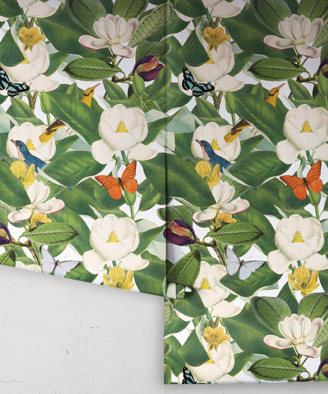 Magnolia Bloom Wallpaper