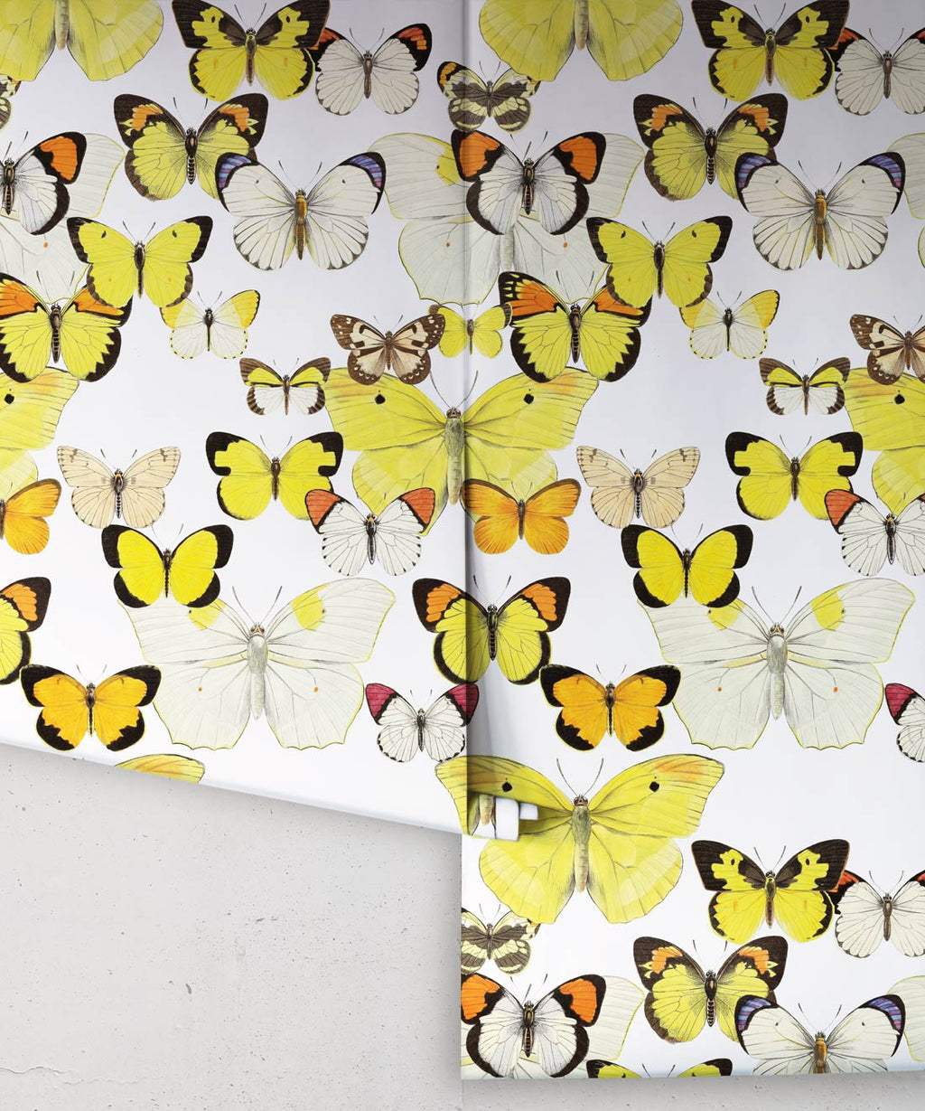 Papillon Medley Wallpaper