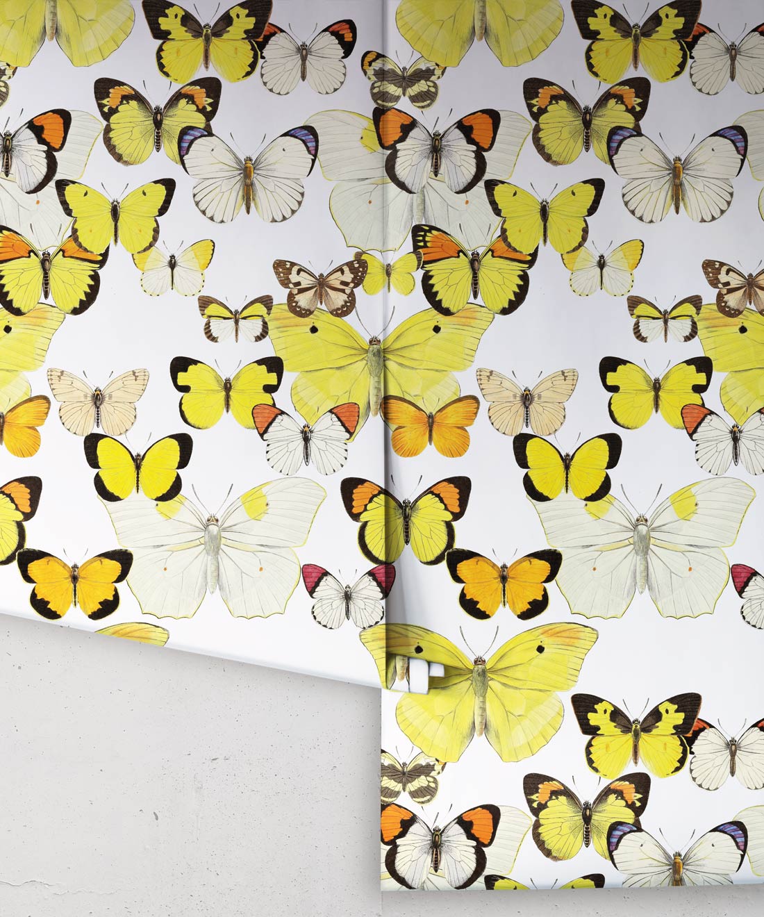 Papillon Medley Wallpaper