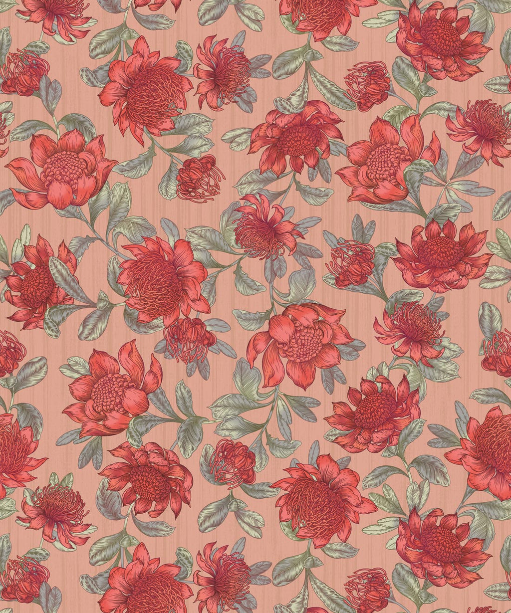 Waratah Wallpaper, Blush