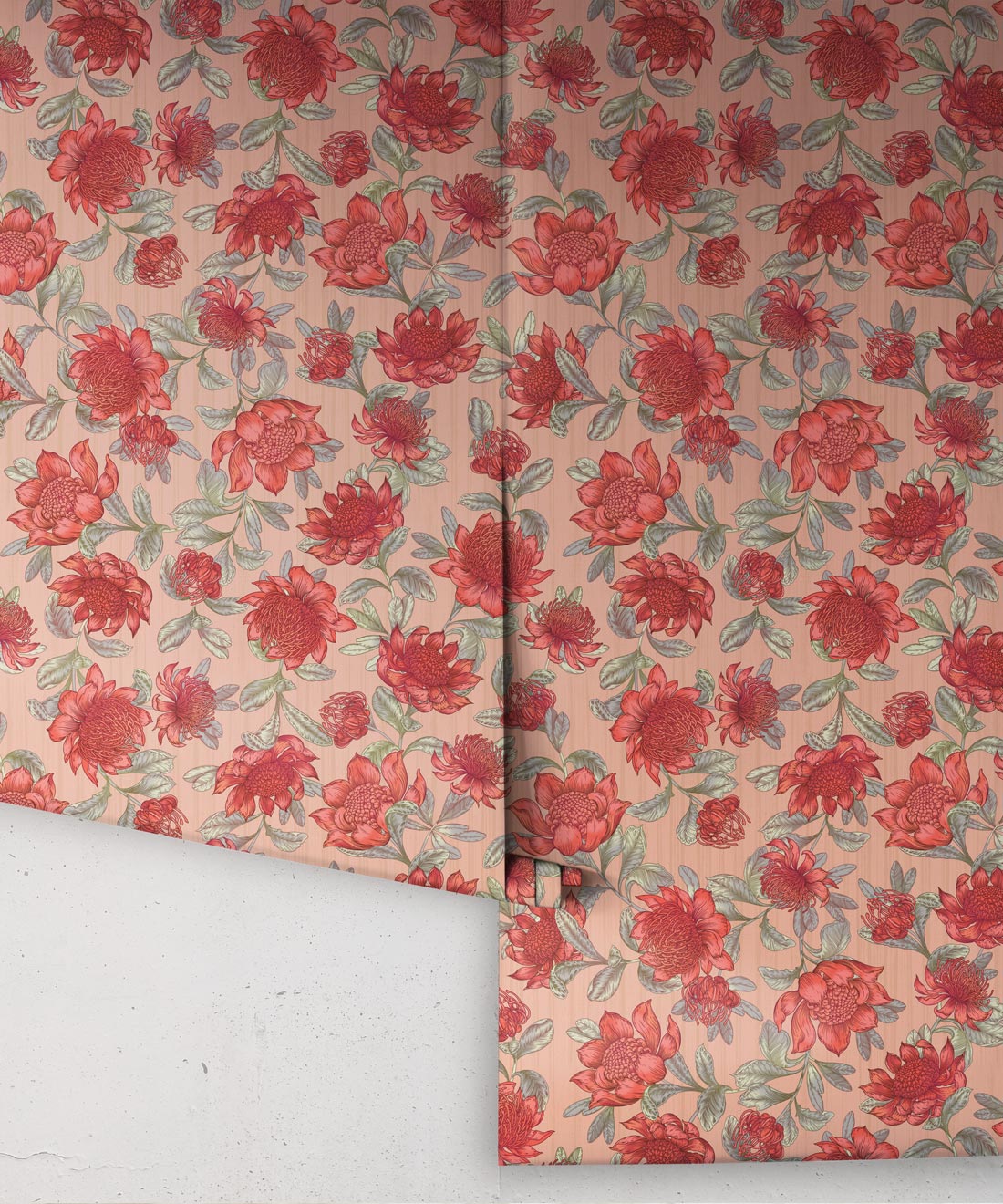 Waratah Wallpaper, Blush