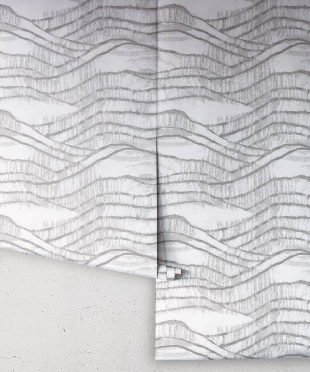 Vista Wallpaper, Silver