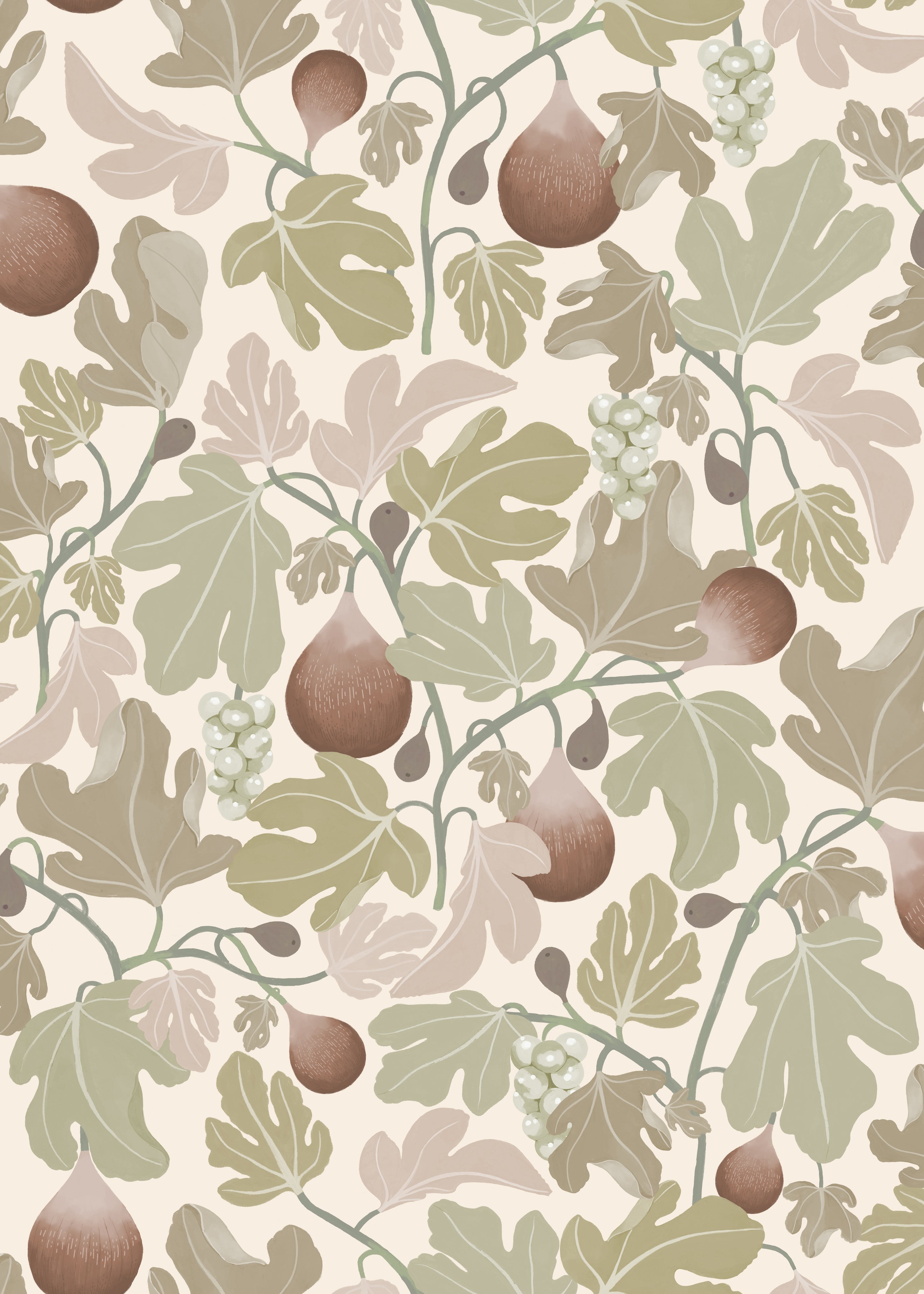 Figs - Beige