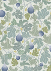Figs - Blue