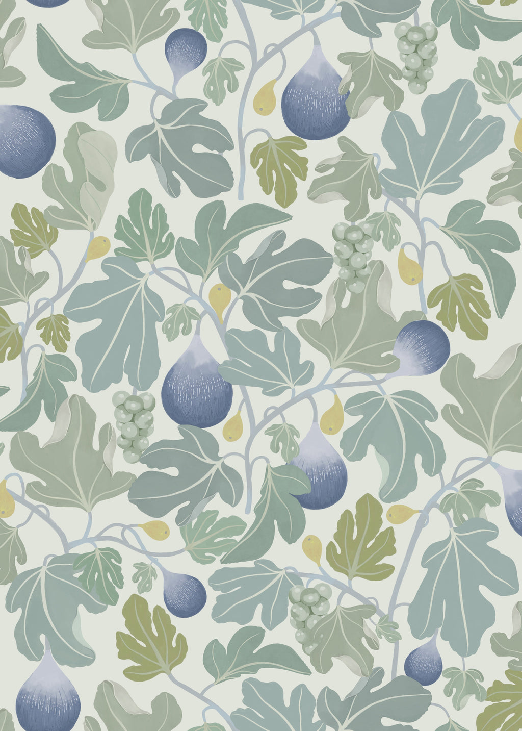 Figs - Blue